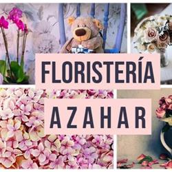 Horario de apertura Floristería Azahar - Caravaca de la Cruz, 