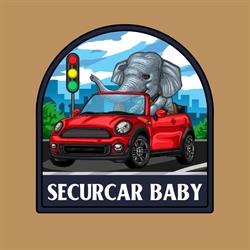 Horario de apertura SecurCar Baby, Carballo