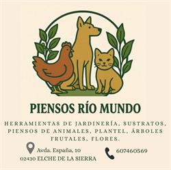 Horario de apertura Piensos Rio Mundo, Elche de la Sierra