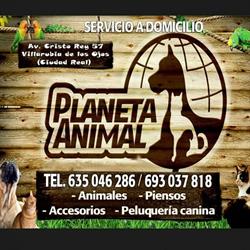 Horario de apertura Planeta Animal, Villarrubia de los Ojos