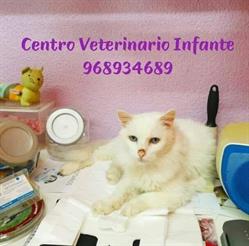 Horario de apertura Centro Veterinario Infante, Murcia