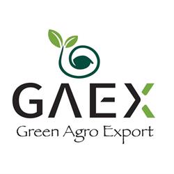 Horario de apertura Green Agro Export S.L, Orihuela