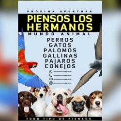 Horario de apertura Piensos Los Hermanos, Las Torres de Cotillas