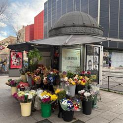 floristería canal madrid en Madrid (Chamberí) - Horario de apertura