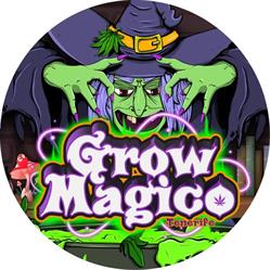 Horario de apertura Grow Mágico Tenerife, Playa de los Cristianos