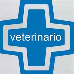 Horario de apertura Centro Veterinario Firgas, 