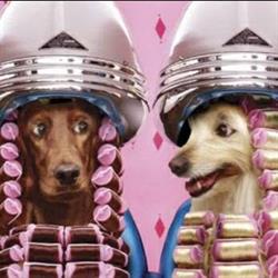 Horario de apertura Peluquería Canina Enredos, Ronda