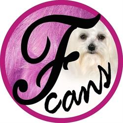 Horario de apertura Perruqueria canina Fanny's Cans, Marratxí