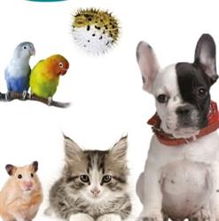 Horario de apertura Premium Mascotas, Errenteria