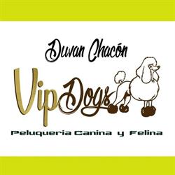 Horario de apertura Vip Dogs, Crevillent