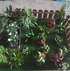 Horario de apertura Semilleria Cruz Blanca, Aznalcóllar