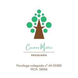 Horario de apertura Centro de Psicología Carmen Mateo, Cañada Rosal