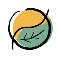 Balino Yoga Café en Sevilla (Casco Antiguo) - Horario de apertura