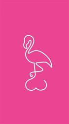 Horario de apertura Flamingo Sex Shop, Pamplona
