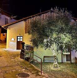 Horario de apertura La casita del olivo, Hervás
