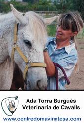 Horario de apertura Vinatesa Centre-Ada Torra, veterinària equina-hípica, Lleida
