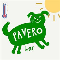 Horario de apertura Pavero Bar, Pontevedra