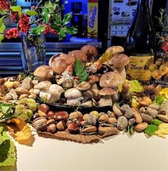 Tainos en Bilbao (Otxarkoaga-Txurdinaga) - Horario de apertura