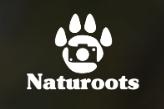 Horario de apertura Naturoots, Andújar