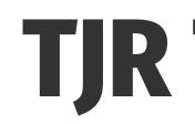 Horario de apertura TJR Technology, Chipiona