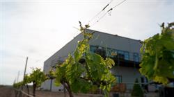 Horario de apertura Bodega Hijos de Antonio Polo - Pagos de Peñafiel y Aldealbar, 