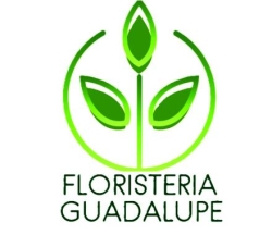 Horario de apertura Floristería Guadalupe, 