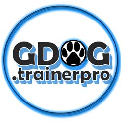 Horario de apertura GDOG.Trainerpro, Museros