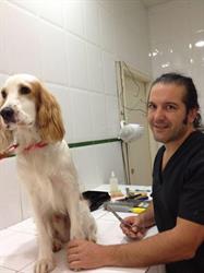 Peluqueria Canina Totana en Valencia (L'olivereta) - Horario de apertura