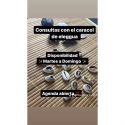 Horario de apertura Tarotista Lucy, Buzanada