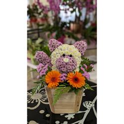 Horario de apertura + Que Flors, Molins de Rei