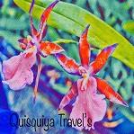 Horario de apertura Quisqueyatravel’s Soul Qtras, Ribes de Freser