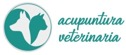 Horario de apertura Acupuntura veterinaria Ballesté, Barcelona