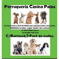 Horario de apertura Peluquería Canina Iryna Palau, Palau-Saverdera