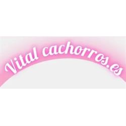Horario de apertura Vitalcachorros.es, Padul
