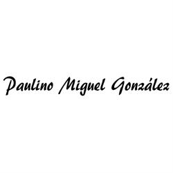 Horario de apertura PAULINO MIGUEL GONZALEZ, Madrid