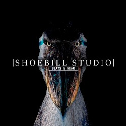 Horario de apertura Shoebill Studio, Alicante