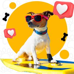 Horario de apertura HOTEL CANINO PATITAS - Hotel y Guardería para perros en Albox, Almería, 