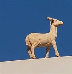 Horario de apertura Restaurante Cabra Blanca, Santa María del Camí