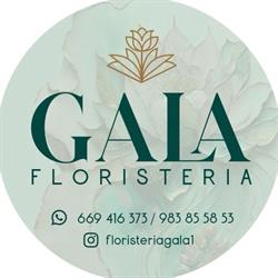 Horario de apertura Floristería Gala, Valladolid