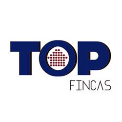 TOP FINCAS SEVILLA en Sevilla (Casco Antiguo) - Horario de apertura
