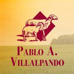 Horario de apertura Fábrica de Quesos Pablo Alonso Martín, Villalpando