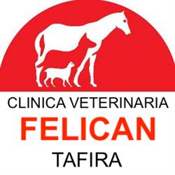 Horario de apertura Clinica Veterinaria Felicán Tafira, Tafira Alta