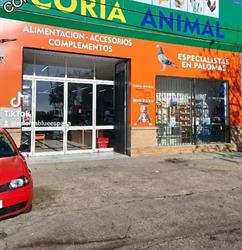 Horario de apertura Coria Animal CECAC, Coria del Río