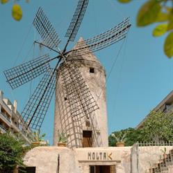 Moltak * The Windmill Kitchen * Cooking Class Mallorca en Palma de Mallorca (Ponent) - Horario de apertura