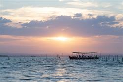 Paseos en Barca Albufera "Rosa y Tonet" en Valencia (Pobles Del Sud) - Horario de apertura