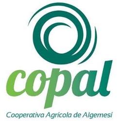 Horario de apertura Cooperativa Agrícola S.C.J. Coop.V. Algemesí, 