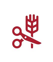 Asociación de Celíacos y Sensibles al Gluten en Madrid (Salamanca) - Horario de apertura