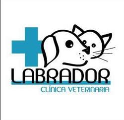Clínica Veterinaria Labrador en Madrid (Arganzuela) - Horario de apertura
