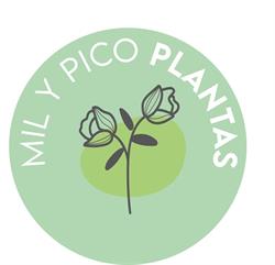 Horario de apertura Mil y Pico Plantas, Logroño