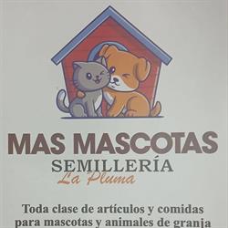 Horario de apertura Masmascotas Semilleria la pluma, Los Palacios y Villafranca